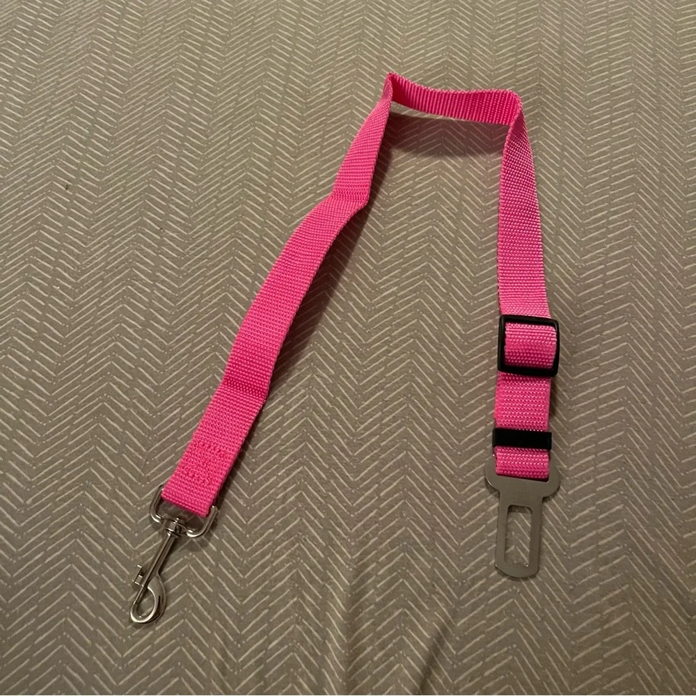 PET SEATBELT